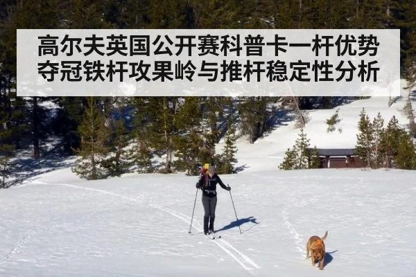 高尔夫英国公开赛科普卡一杆优势夺冠铁杆攻果岭与推杆稳定性分析